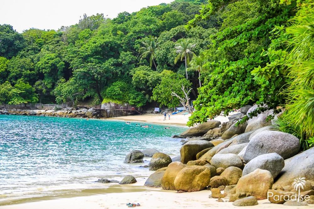 Paradise Beach Backpackers Hostel Patong Dış mekan fotoğraf